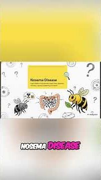Nosema: The Truth Behind Honeybee Colony Collapse #shorts