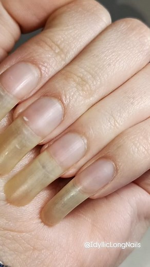 𖤐 | My long nails during long study sessions. 💅🏻⌛ ⠀⠀⠀⠀⠀⠀⠀⠀⠀⠀✧･ﾟ: ✧･ﾟ･ﾟ✧:･ﾟ✧⠀⠀⠀⠀⠀⠀⠀⠀⠀⠀⠀⠀ DM me for custom content💌 #idylliclongnails... | Instagram