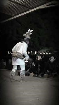 La danza del venado es un ritual con siglos de historia #tradiciones