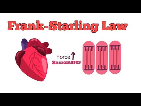 Frank-Starling Law
