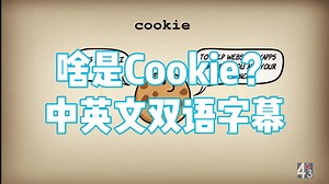 什么是 Cookie? 啥工作原理？