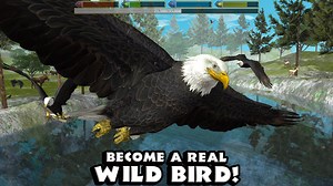 Download and Play Ultimate Bird Simulator on PC (Emulator)