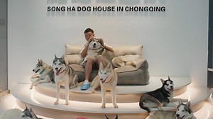 25K views · 16 reactions | Watch the official trailer for the...