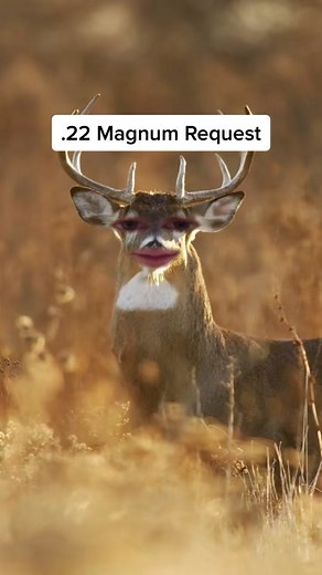 The Truth About .22 Magnum - What You Need to Know!