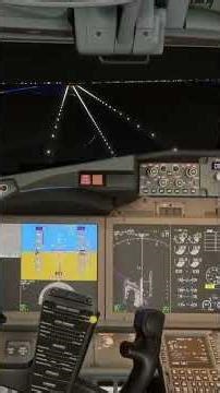 🧈 Smooth Night Landing – Boeing 737 MAX at Cairo | MSFS