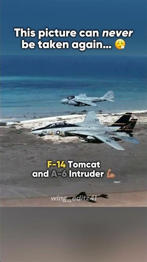 F-14 Tomcat and A-6 Intruder 🇺🇸😮‍💨
