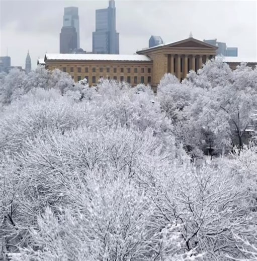 Johny Alvarez | Tattoo Artist on Instagram: "Expectation vs reality 😂 Tattoo Convention after party in my head… Ice storm + Waffle House in real life."