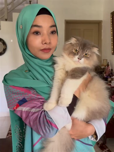 SPM SPEAKING PRACTICE A Dream Pet Talk about a pet you would like to own. You should say: -what the animal is -why you like it -how to take care of it -how to encourage people to love animals Example answer: Introduction If I could choose any animal to be my companion, my dream pet would definitely be a Scottish Fold cat. They are easily recognisable by their unique folded ears and large, soulful eyes that give them an adorable, owl-like appearance. Why I Like It I am drawn to this breed because