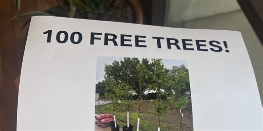 Wichita organization giving away 100 free trees to homeowners, churches, businesses