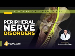 Peripheral Nerve Disorders - Introduction