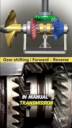 How does the gearbox work? #gearbox #dailyfacts