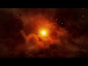 Best of Lorne Armstrong: I Am A Predator