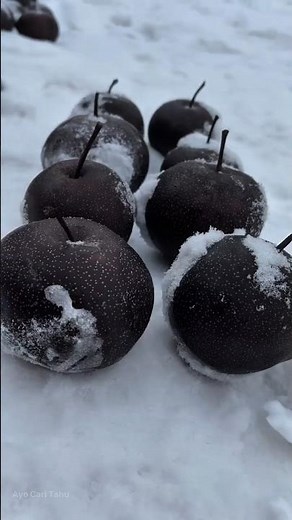 Frozen Pears #traditionalhandmade #traditional #recipe #tutorial #food