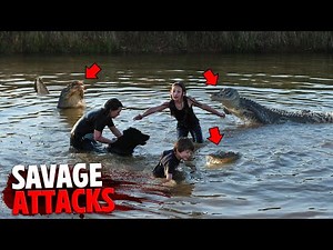 The Most SAVAGE Alligator Attacks MARATHON!