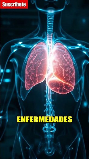Rayos X y RM: Ver Órganos Fácilmente! 🩻