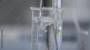 Water boiled in test tube. Transparent liquid in test-tube. Experiment in biolab. Flask with lab glassware in chemical laboratory. . Laboratory equipment.
