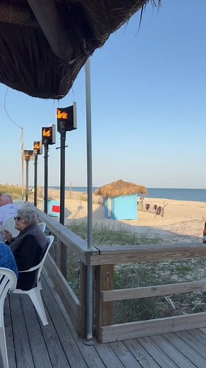 Best Restaurants in St George Island, FL | Blue Parrot Dining Experience