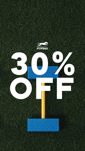 Don't wait! Get 30% off FitKinectTM and unleash your pup's full potential today! | FitPaws