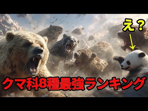 Ranking of the 8 most powerful bear species