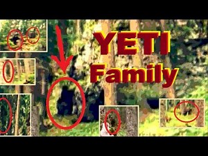 YETI Family in 'Cryptozoology' - Oxford University Course for Academics only