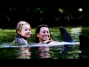 Swim With The Dolphin - Florida Keys & Key West - Theater of the Sea