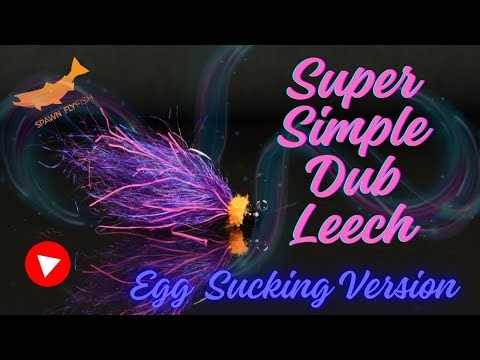Simple Egg Sucking Spawn Dub Leech for Trout- Fly Tying Tutorial