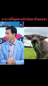 Saang Romphan on Reels