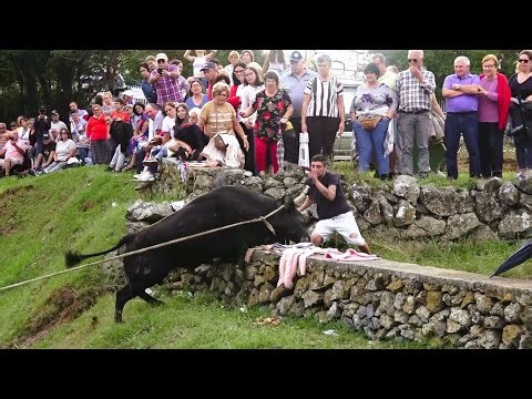 Figueiras Do Paim - Bulls HF (421,432) & OT (62,64) - 10/01/2025 - Terceira Island - Azores