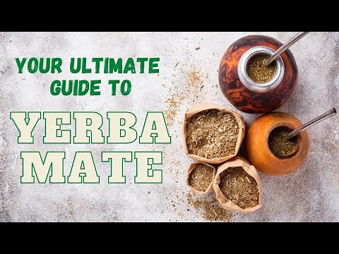 Your Ultimate Guide to Yerba Mate