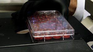 69 reactions | “The overarching definition of innovation is taking some sort of idea and creating positive change.” Learn how Vanderbilt faculty across a wide array of disciplines are optimizing innovation to solve problems through partnerships and collaboration. | Vanderbilt University | Facebook