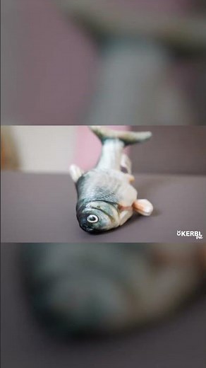 Katzenspielzeug 😺 Jumping Fish 🐟 von Kerbl PET #shorts
