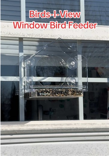 Birds-I-View Window Bird Feeder #birdwatching #birdfeeder #birdwatching #featheredfriends #avian @Nature Anywhere
