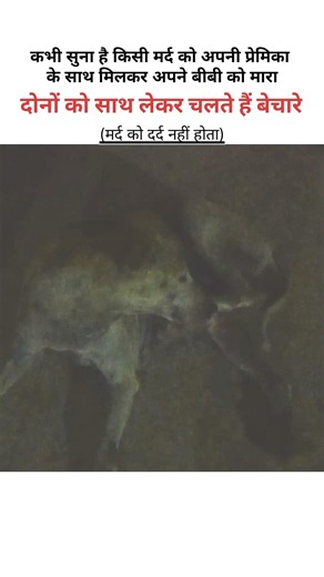 मर्द को दर्द नहीं होता #funny #funnymemes #viral #dog