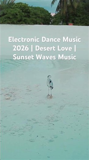 Electronic Dance Music 2026 | Desert Love | Sunset Waves Music