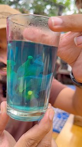 2M views · 19K reactions | अपराजिता के पहाड़ी फूल  से बनी नीली चाय  पी है कभी? BLUE TEA #How #indianfood #chailover #Hills #howto #uttrakhand #foodvlog #pahadi #Aparajita #viralvideoシ | Virtual Banjara | Facebook