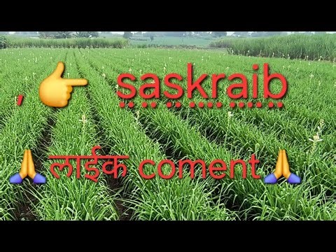 shivshakti seva fharming vlogs लाइव्ह आहे! देखते है किसका है तेज दिमाग जो देगा सवाल का सही जवाब🤔🤔