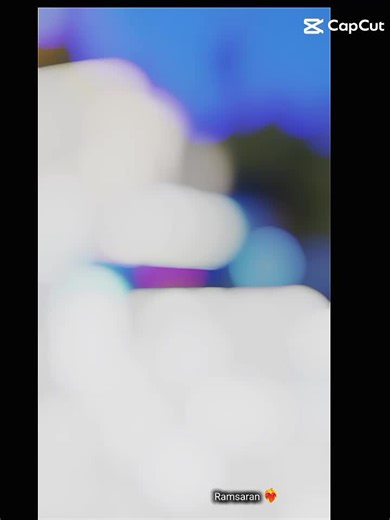 🤟🤟🤟🤟