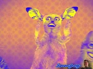 Preview 2 Numa Cat 2 Opposite Effects