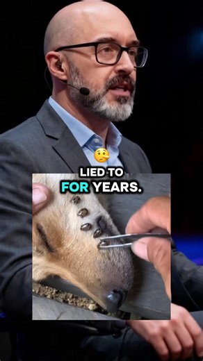 Furever Healthy on Instagram: "Hey 🐾 Here’s the 4-ingredient homemade flea support recipe so many of you asked for: • 1 cup apple cider vinegar • 1 cup distilled water • Juice of ½ fresh lemon • 1 full dropper of liquid collagen Mix everything into a spray bottle and shake well. Lightly mist your dog’s coat before walks (avoid eyes and mouth) and gently rub it in. This helps make the skin less attractive to fleas and supports irritated skin naturally. ✨ Important: The collagen you use actually 