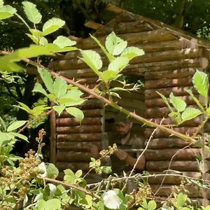 51K views · 1.2K reactions | River Cabin Bushcraft Adventure , Full Primitive Build , Cooking Wildlife | Bushcraft WORLD | Facebook