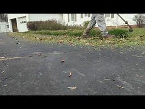 How To Trim and Maintain Monkey Grass (LIRIOPE) - SUPER EASY