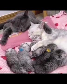 The Cutest family - Family love