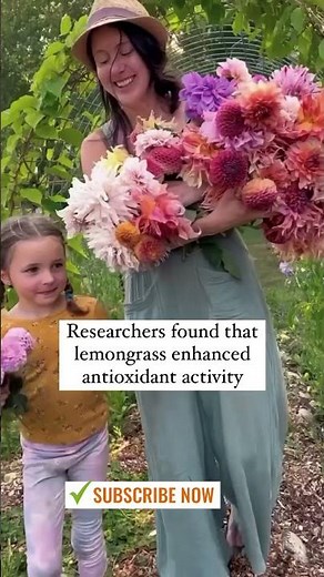 Lemongrass diffuser blends, essential oil recipes | Lemongrass Essential Oil Benefits