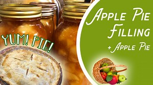 Best Apple Pie Filling Recipe (  a Simple Apple Pie!)