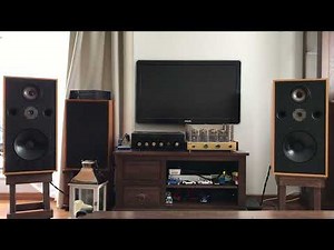 Spendor S100 + Audio Note Oto Phono SE