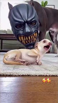 Dogs Prank Goes Viral 😂 Giant Animal Mask Scares Dog | Funniest Insta & YouTube Video #trendingnow