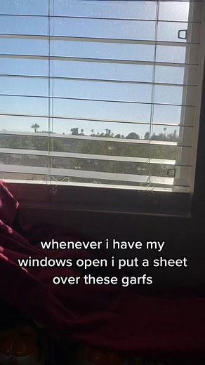Effects of Sunlight on Plushies | Garfield Collector Tip