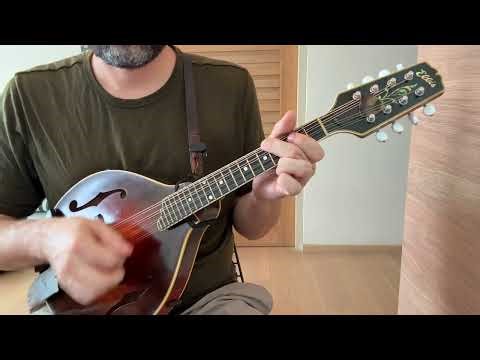 Willafjord: Play Along Jam - Mandolin Lesson