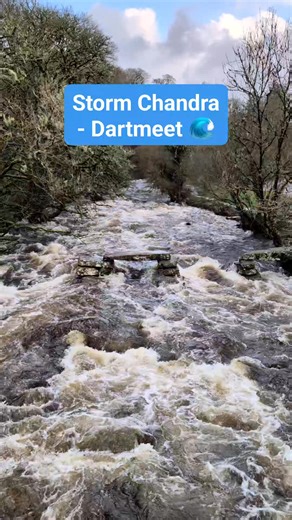 🌊 STORM CHANDRA – DARTMEET 🌊 The East River Dart roars towards the ruined clapper bridge and road bridge at Dartmeet (N13) at the tail end of Storm Chandra. I toured Dartmoor on Tuesday morning to check out some of its rivers and bridges – just as I did during Storm Bram in early December. Storm Chandra had brought 2 to 3 inches of rain in 24 hours to parts of Dartmoor. While flood alerts were in place, the rivers weren't flowing as fast as during Storm Bram, when more than 4 inches of rain fe