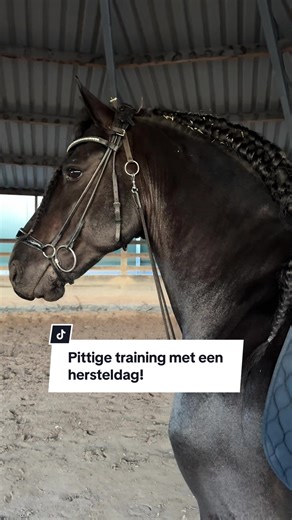 Pittige training met een hersteldag!